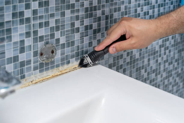 Best Black Mold Remediation in Lake View, AL